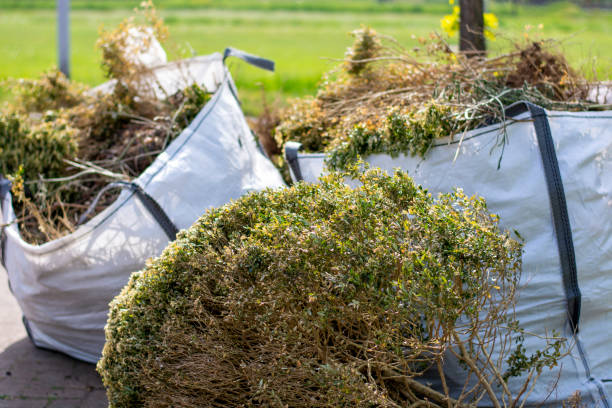 Best Household Junk Removal  in Defiance, OH